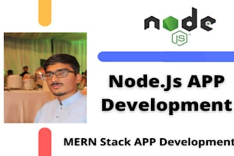 write be your node js developer