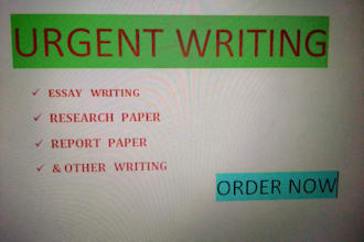 write professional standard reports,essays summaries and executive documents