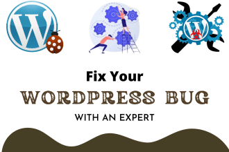 fix wordpress issues, errors or any bug in website