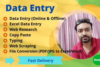 do excel data entry, web research, copy paste, file conversion work