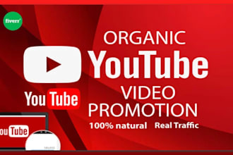 do youtube SEO with organic video promotion
