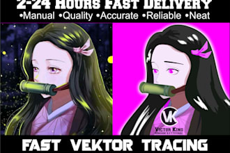vector tracking, redraw, convert to bitmap to vector, trace
