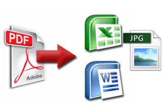 convert any pdf to word or excel, data entry,inpage