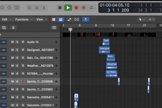 produce background music for videos and short films