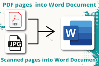 manually retype scanned PDF into editable word document
