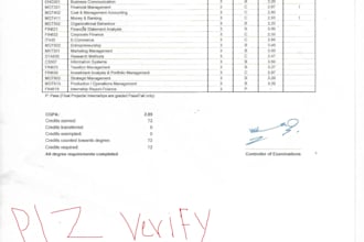 do professional accounting and bookkeeping services etc