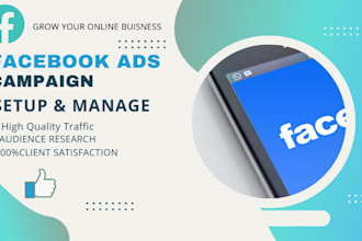 manage facebook ads campaign, fb marketing, fb advertising