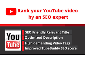professionally do youtube SEO to improve ranking