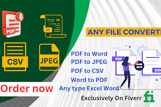 do PDF file convert to word, and copy paste job