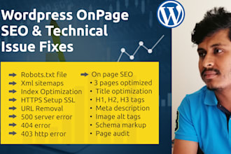 do onpage SEO and fix wordpress site all issues