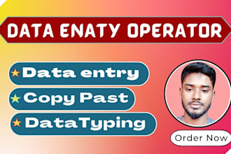do data entry, copy past, typing, and data collection job