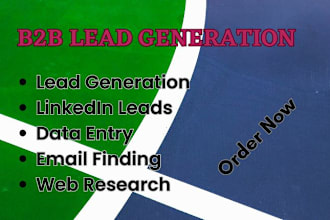 do data entry, web research and ecommerce lead generation