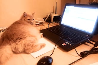 type up to 10 pages of any scanned document