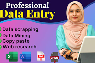 provide data entry, copy paste and excel data entry services