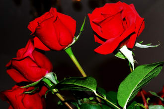 write a romantic letter or poem for you