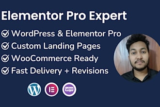 design, develop, responsive wordpress website as elementor pro expert