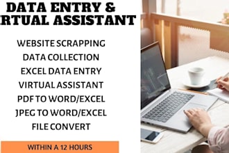 do data and web scraping, data extraction and data entry