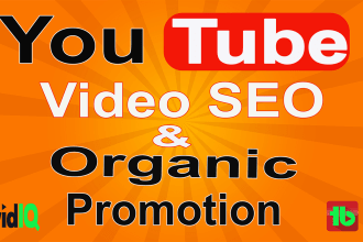 do organic youtube video SEO and promotion properly