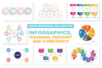 design high quality infographic flowchart and diagrams 12hrs