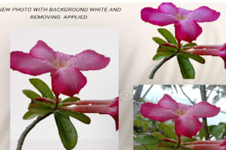 do background removal of every picture
