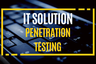 perform vulnerability assessments penetration testing system