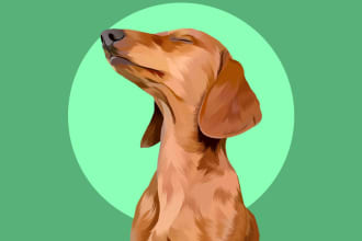 draw vector portrait your dog,cat, or any pet in 24 hours