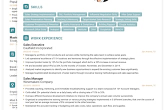 write a job winning professional resume and CV for you