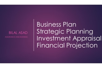 create comprehensive business and investment plans