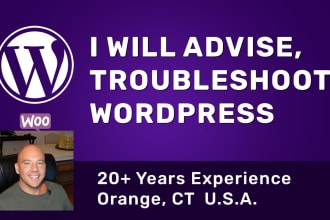 advise, consult and troubleshoot wordpress related issues
