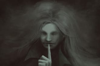 draw stylized illustrations and portraits