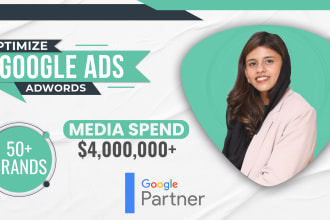 do google ads optimization professionally