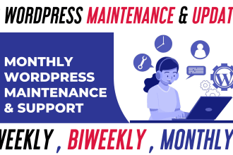provide wordpress maintenance support or help