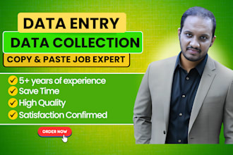 do professional and fast data entry work