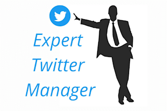 provide twitter manager service by organic marketing or write tweets