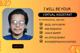 be your administrative virtual assistant and data entry pro