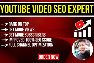 be your best youtube video SEO expert for organic promotion and top ranking