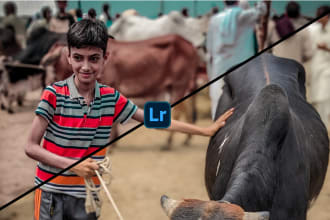 do cinematic color grading on your photos