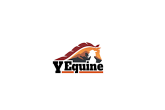 design professional brand horseback riding logo