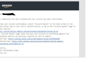 write poa and appeal letter for amazon section 3 suspensions