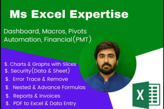 data entry on excel, data cleaning, micros, pivots, lookup
