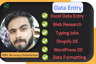 do excel data entry, data mining, web scraping, copy paste