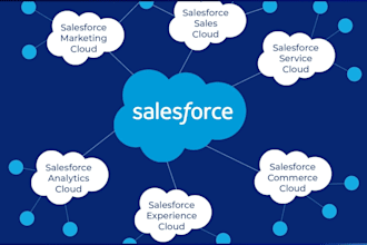professional salesforce CRM administration and development support