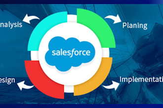 custom salesforce admin and development solutions for your business