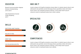 create professional resume for you
