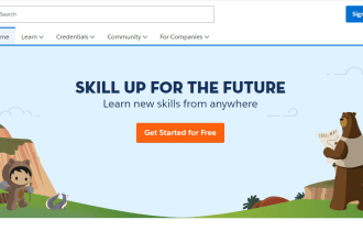 provide salesforce support and admin services