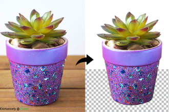 replace, clear, delete, cutout, erase background with clipping path in white