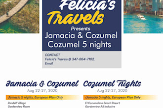 design amazing, modern, professional flyer, dl flyer