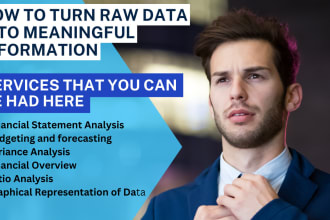 do budgeting and forecasting, financial analysis for you