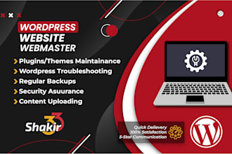 be your website manager for wordpress website maintenance