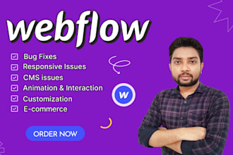 help fix webflow, webflow error, webflow issues, webflow bug
